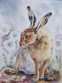 bashful-brown-hare